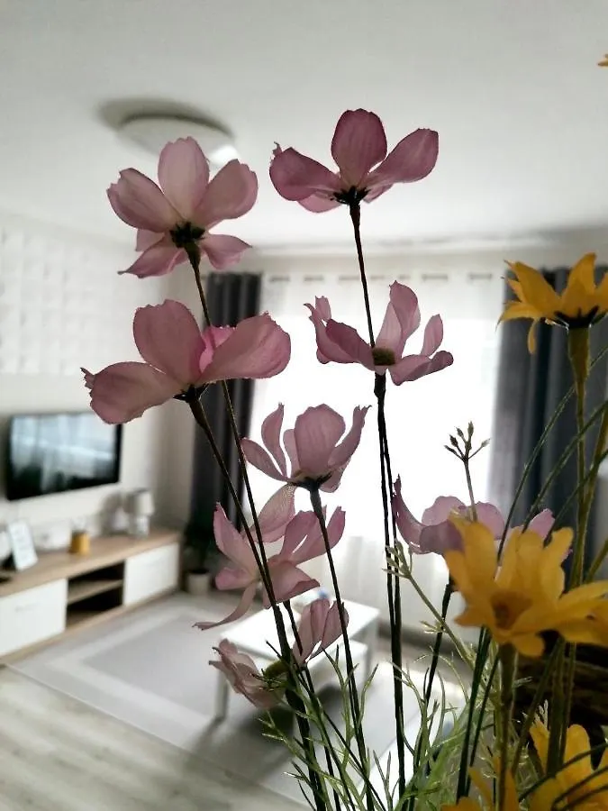 Sweet Central Apartment ,In The City Center Eger