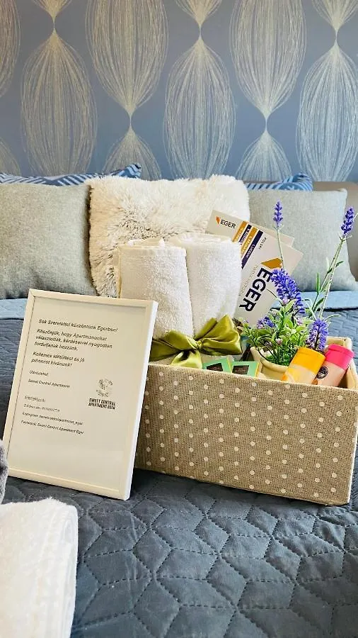 Sweet Central Apartment ,In The City Center Eger